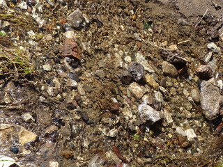 spring stream