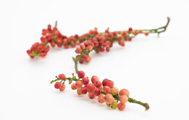 colourful little Berry isolated on white background, selective focus
