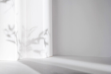 Abstract white 3d studio background for cosmetic product presentation. Empty grey room with shadows of window. Display product with blurred backdrop. - Powered by Adobe