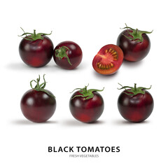 Collection of different black tomatoes cultivars isolated on white background. Various shapes of tomatoes.