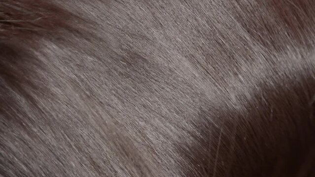 Shaking glossy brown hair making slow motion waves | Natural hair care concept