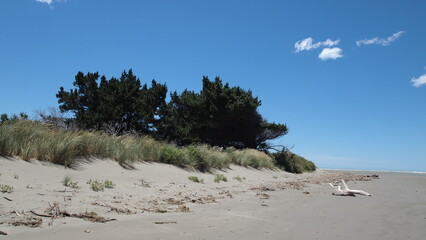 New Brighton Beach (Christchurch)