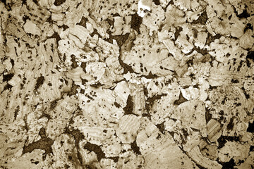 Cork board texture in brown tone.