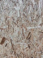 Wood texture close-up with seams