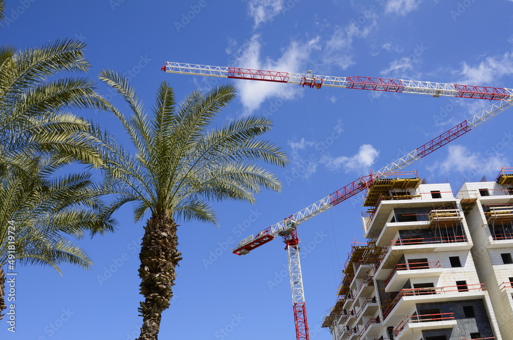 Wall mural construction of a residential building. modern architecture. construction crane and palm tree in the