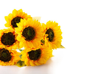 Sunflowers isolated on white background. Copy space