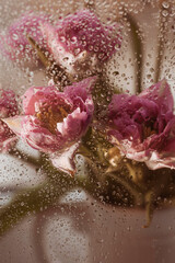 Fresh still life. A vase of flowers outside the window. Water drops after rain on the glass. Bouquet of tulips. Beautiful spring greeting card.