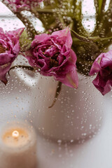 Fresh still life. A vase of flowers outside the window. Water drops after rain on the glass. Bouquet of tulips. Beautiful spring greeting card.