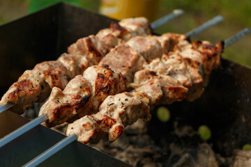 Homemade preparing pork shashlik on charcoal outdoor in garden. Marinated pieces meat  on barbecue grill over charcoal.