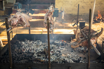 A young suckling lamb (sheep) and pig on skewer. Whole roasted pig and lamb on a rotating steel...