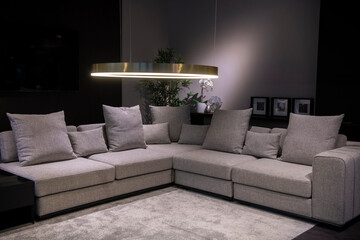Modern interior design of a living room in an apartment, house, office, bright modern interior. Gray fabric furniture.