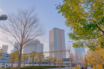 東京都江東区豊洲の夕方の都市景観
