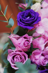 close-up of beautiful pink and purple roses. beautiful flower background