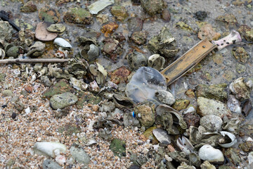 garbage on the beach, dirty sea