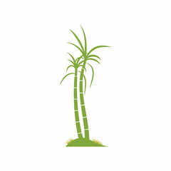 Fototapeta na wymiar Sugar cane plant logo vector illustration design