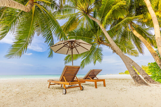 Amazing vacation beach. Chairs on the sandy beach near the sea. Summer romantic holiday concept for tourism. Tropical island landscape. Tranquil shore scenery, relax sand seaside horizon, palm leaves