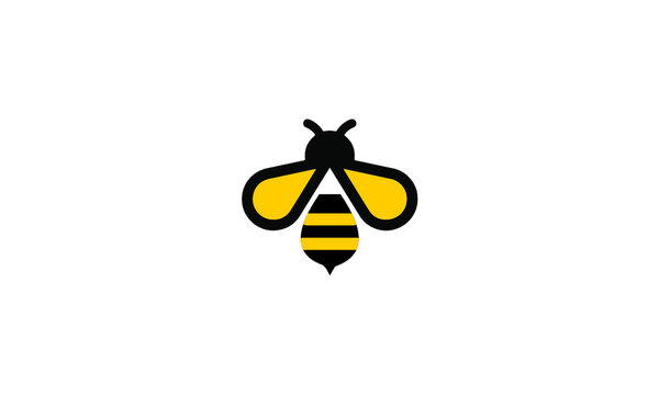 bee vector