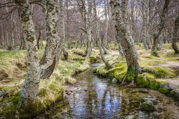 Obraz premium Scenic mountain landscape in the place of Covao da Ametade located in the natural Park of Serra da Estrela - Portugal. 