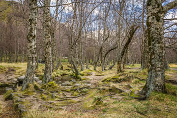 Scenic mountain landscape in the place of Covao da Ametade located in the natural Park of Serra da Estrela - Portugal. 