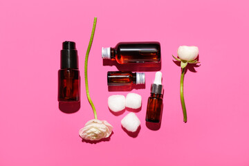 Bottles of cosmetic products, cotton balls and ranunculus flowers on color background