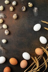 White and brown chicken and quail eggs, feathers and wheat on dark background. Concept farm products and natural nutrition. Top view, copy space or empty place for text.
