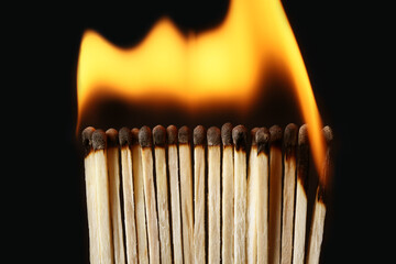 Line of burning matches on black background, closeup. Inspiration concept