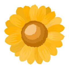 flat design of a sun flower isolate on white background 