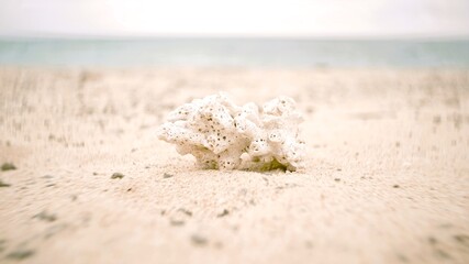on the beach