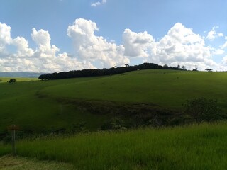 Obraz premium field and blue sky