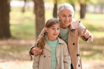 Mature woman with her granddaughter pointing at something in autumn park