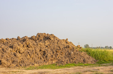 Fototapeta premium A hillside view of a large pile of soil with weeds growing close up on the ground.
