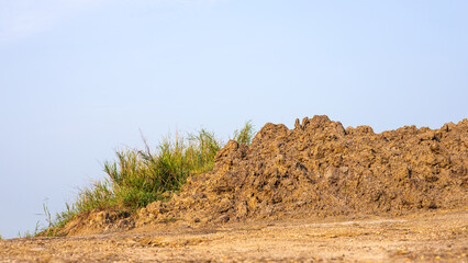 A hillside view of a large pile of soil with weeds growing close up on the ground.