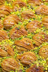 Mussel Baklava with Pistachio. Close-up. Traditional Middle Eastern Flavors. Traditional Turkish baklava. local name midye baklava