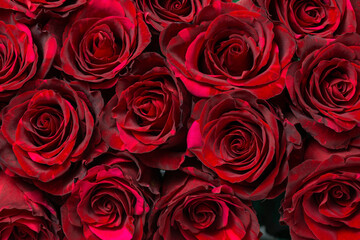 beautiful bouquet of dark red roses like floral background