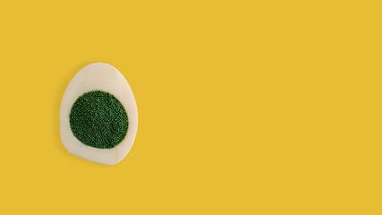 Minimal Easter concept of fresh egg on yellow background with green decoration. Flat lay.