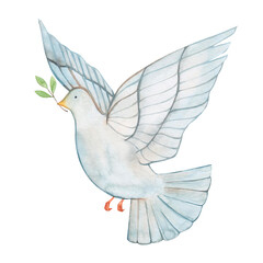 Watercolor drawing dove of peace isolated on white background. A bird with a branch. No war. Ukraine support.