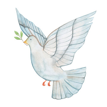 recommend clip art: Watercolor drawing dove of peace isolated on white background. A bird with a branch. No war. Ukraine support.