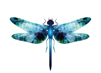 faszinierende Libelle mit perlmuttfarbene Flügel