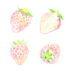 水彩で描いた白いちごのイラスト