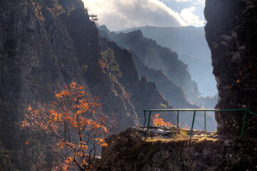 The gorge in the morning fog. Matka Canyon in Macedonia. - obrazy, fototapety, plakaty