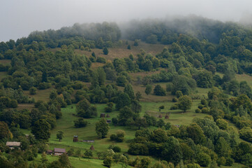 mountain meadow in the morning light, mountain valley in the fog on a grassy hill, the concept of freshness of nature.