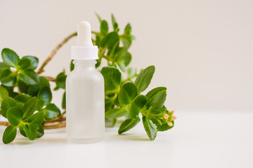 Fototapeta na wymiar White bottle with dropper from serum on a neutral natural light table. Still life minimalistic beauty organic cosmetics template for beauty business and industry. Bright fresh green leaves in a frame.