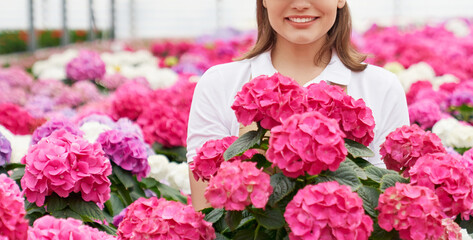Close up of smiling young woman standing among beautiful pink, white and violet hydrangea in modern greenhouse. Concept of enjoy beauty flowers and pleasure smell.