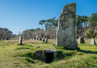 Carnac: Neolithic menhirs of Manio, a site located in Morbihan in Brittany, the town is known for its alignments of 2,934 menhirs.