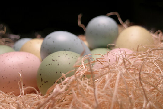 Easter eggs in straw nest decoration &ndash; extreme close-up, full frame, abstract, image focus technique of colorful, pastel speckled Easter eggs in fluffy straw nest basket, background texture
