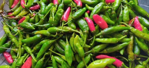 Colourful and fresh chillies used to make tasty food