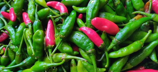 Colourful and fresh chillies used to make tasty food