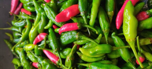 Colourful and fresh chillies used to make tasty food