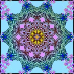 mandala drawing digital symmetrical pattern	