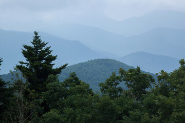 Great Smoky Mountains in blue